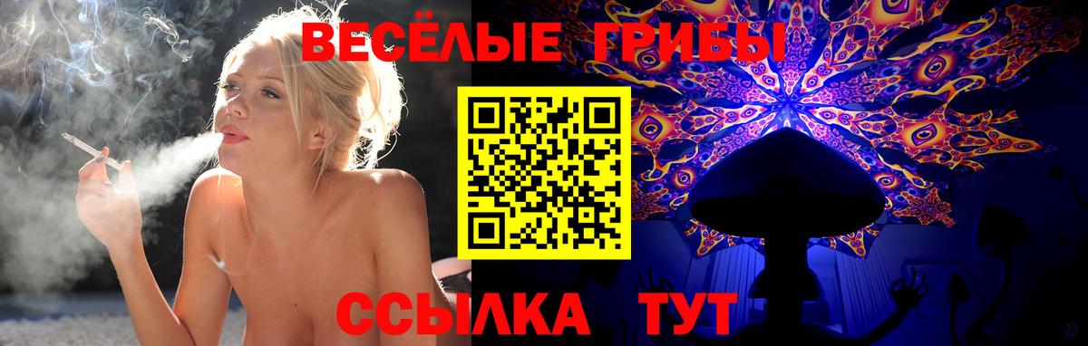 Галлюциногенные грибы GOLDEN TEACHER Киселёвск